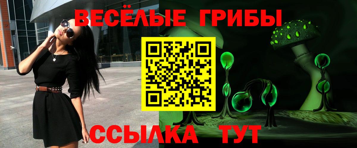 Псилоцибиновые грибы Magic Shrooms  Вход с VPN  Шатура 